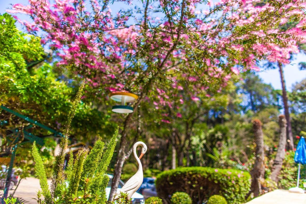 מונטה ורדה Pousada Villa D'Amore מראה חיצוני תמונה